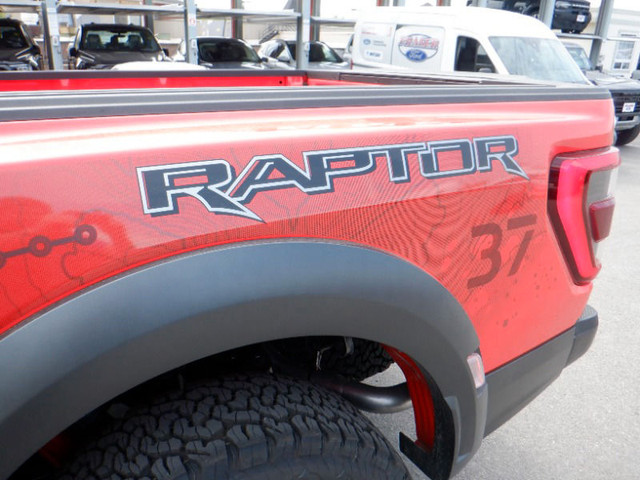 Ford F 150 Raptor Raptor  4WD SUPERCREW 5.5' BOX