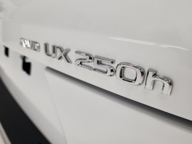 Lexus UX Safety