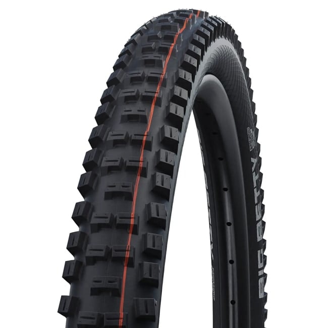 Schwalbe Big Betty Super Downhill 29 Tire