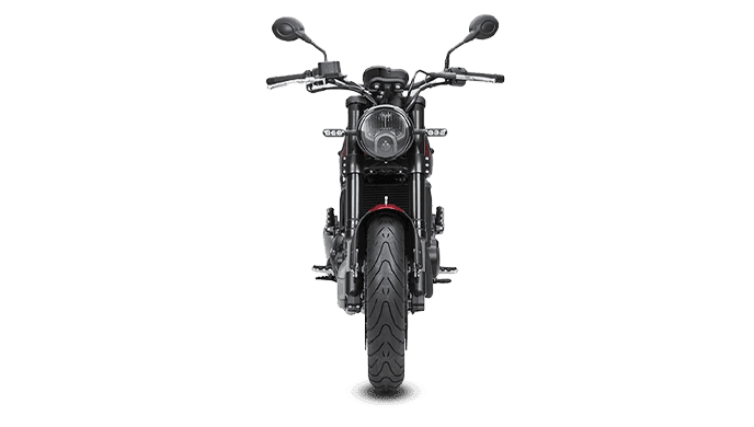 Benelli Leoncino 500 Safety