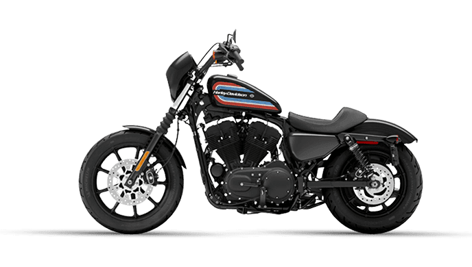 Harley Davidson Iron 1200 Colour