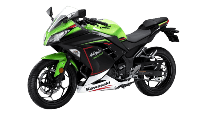 Kawasaki Ninja 300 Colour