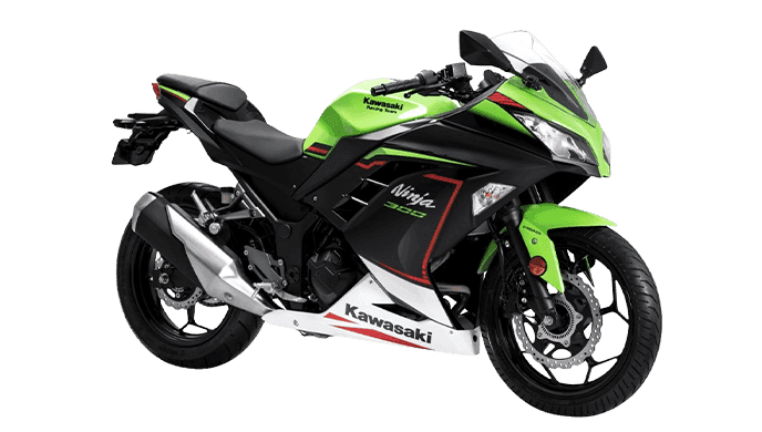 Kawasaki Ninja 300 Colour