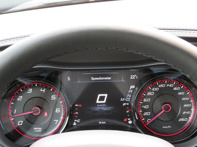 Dodge Charger PETROL