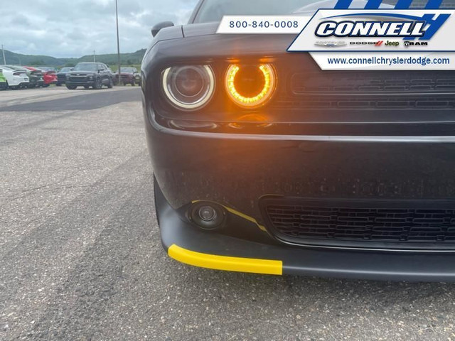 Dodge Challenger Colour