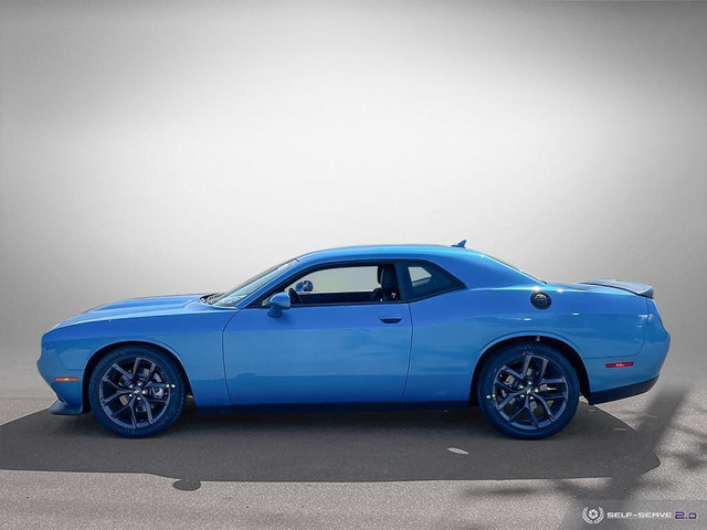 Dodge Challenger Colour