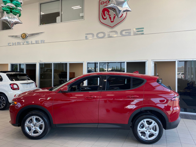 Dodge Hornet Safety