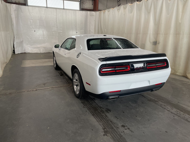 Dodge Challenger Colour