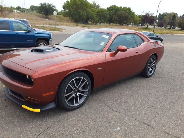 Dodge Challenger Colour