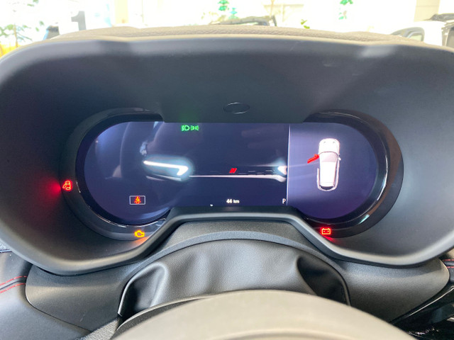 Dodge Hornet PETROL