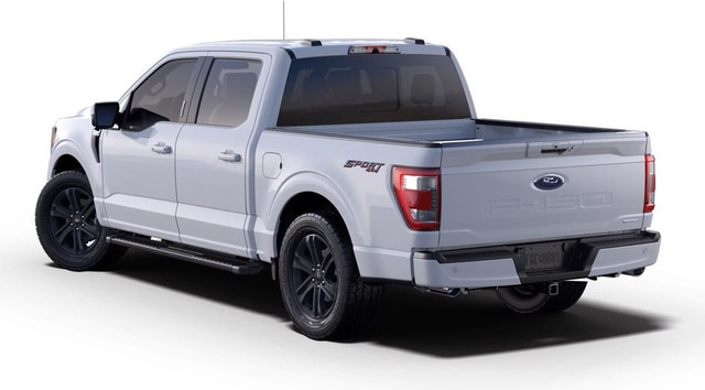 Ford F 150 Colour