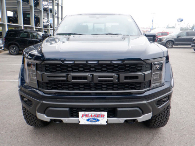 Ford F 150 Raptor Extras