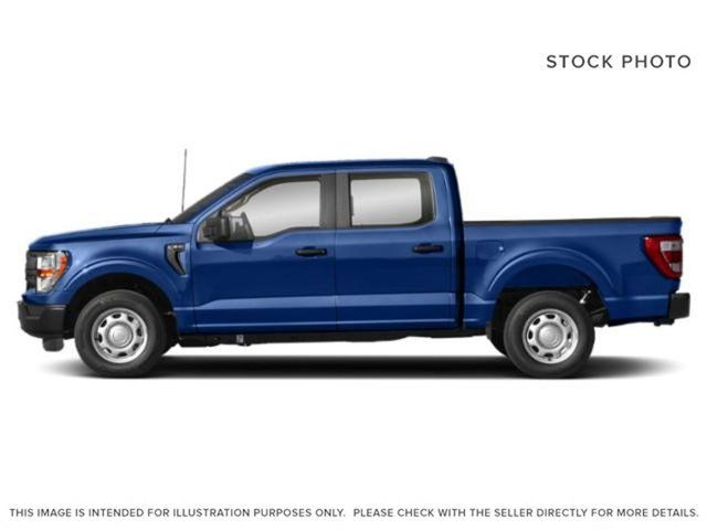 Ford F 150 Colour