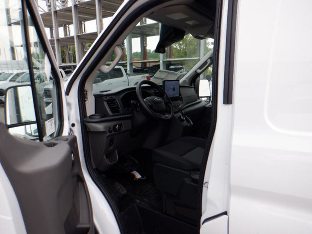 Ford Transit Colour