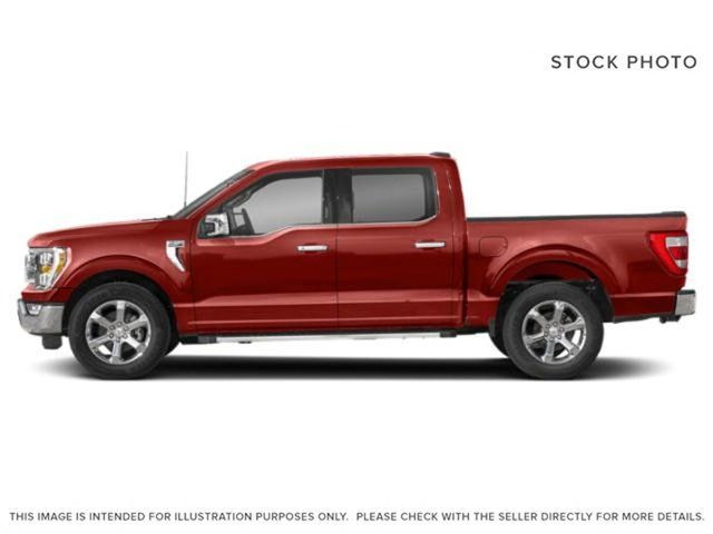 New Ford F 150