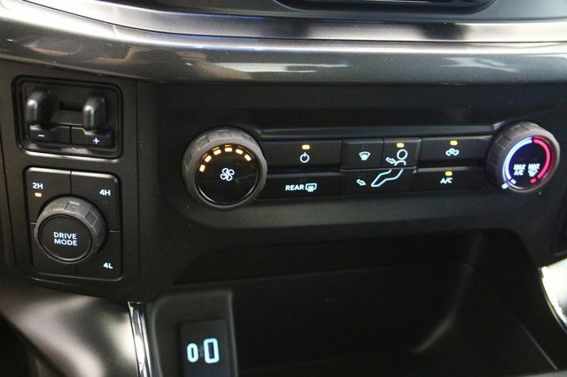 Ford F 150 Colour