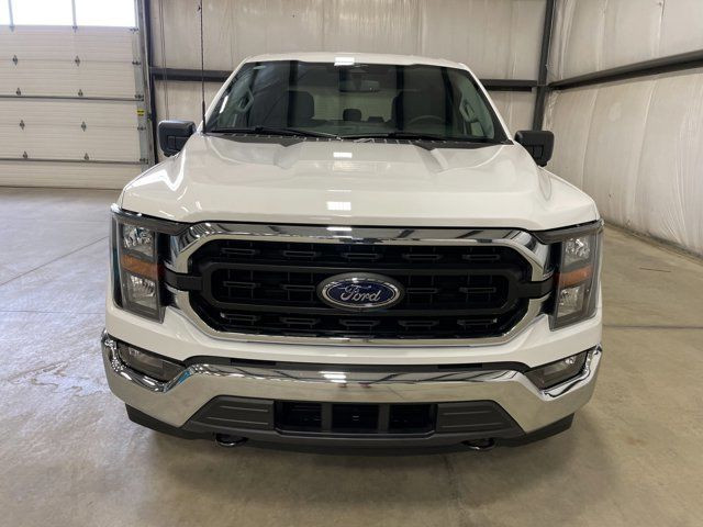 New Ford F 150