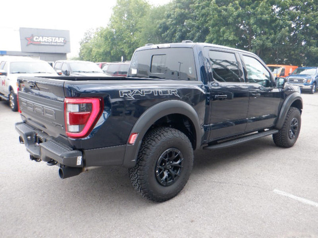 Ford F 150 Raptor Other