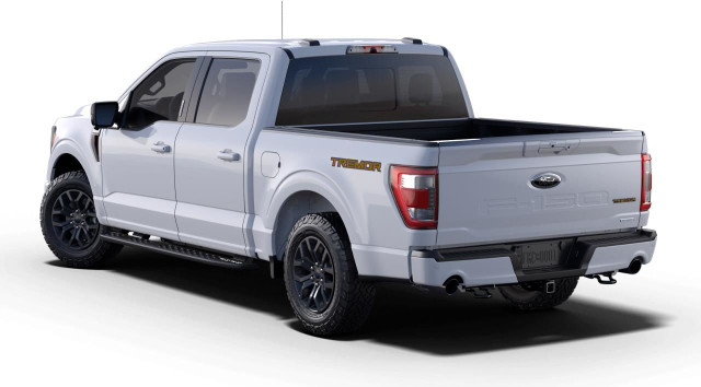 Ford F 150