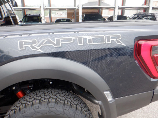 Ford F 150 Raptor image