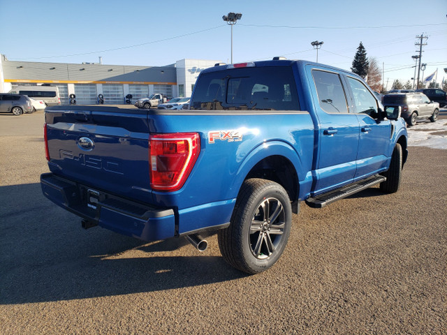 Ford F 150 Colour