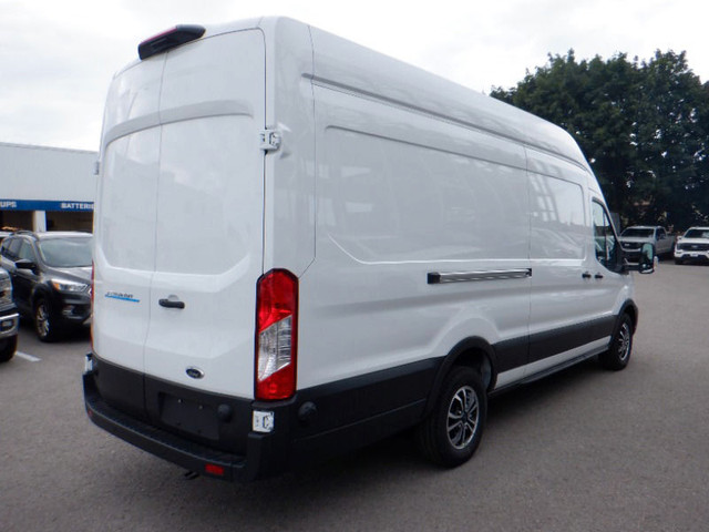 Ford Transit Colour