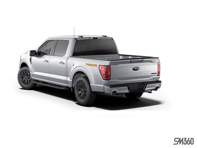 New Ford F 150