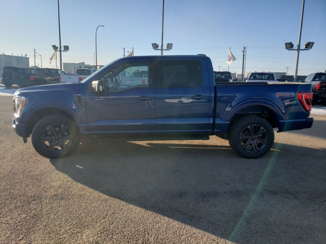 Ford F 150 image