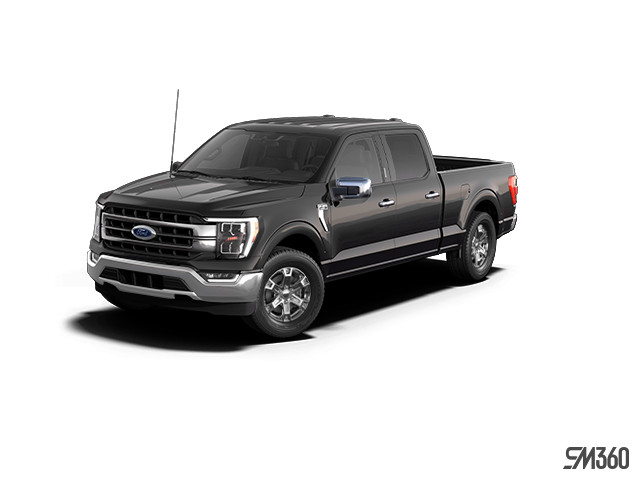 Ford F 150 Extras