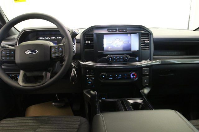Ford F 150 PETROL