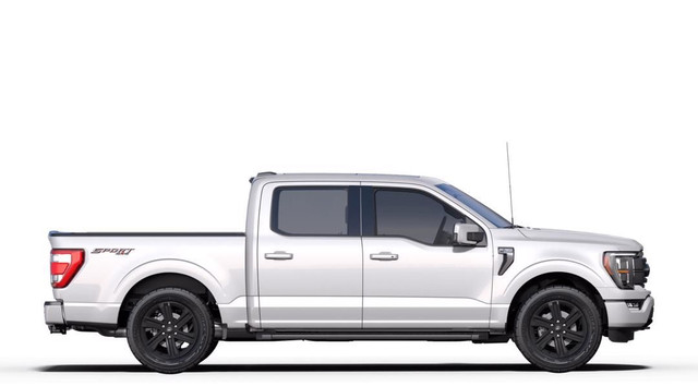 New Ford F 150