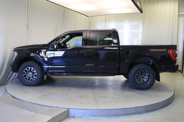 Ford F 150 Safety