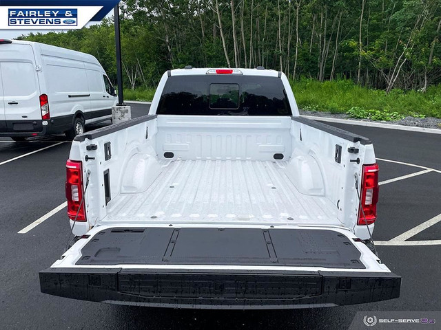 Ford F 150 Safety