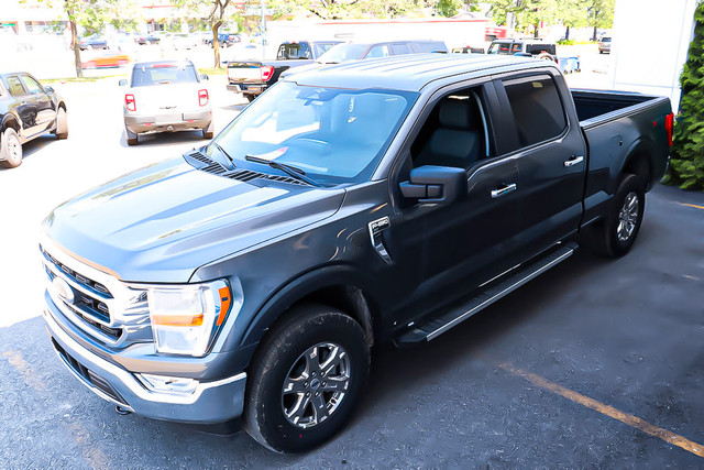 2023 Ford F-150 XLT XLT-XTR 300A / V8 / 3.73 / TAILGATE STEP