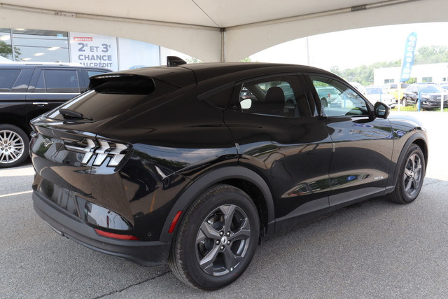 New Ford Mustang Mach-E