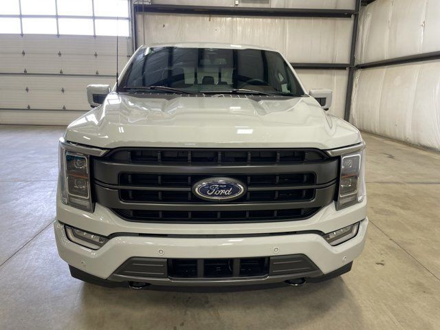 Ford F 150 image