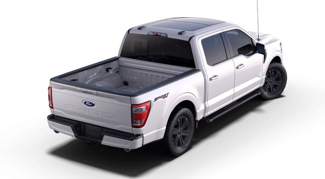 Ford F 150 image