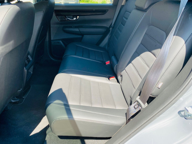Honda CR-V Colour