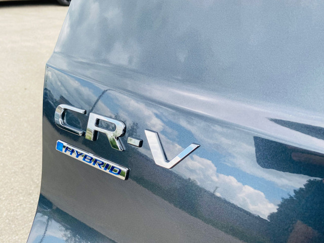 Honda CR-V Colour