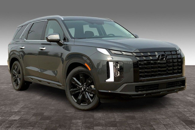 New Hyundai Palisade