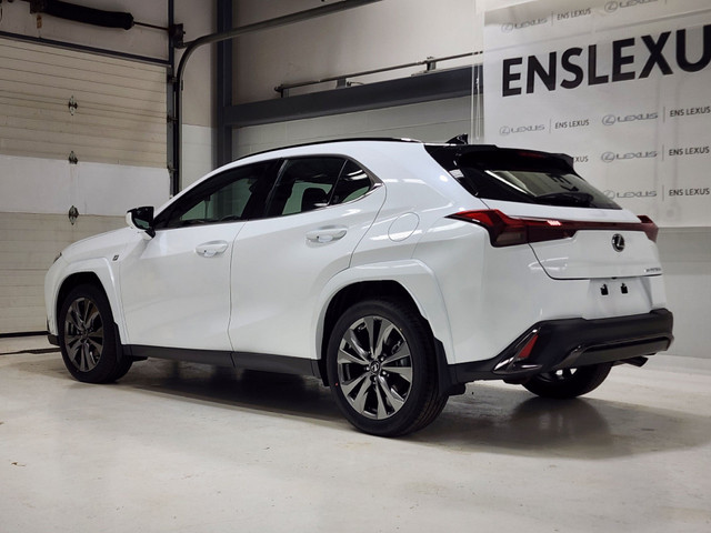 Lexus UX Extras