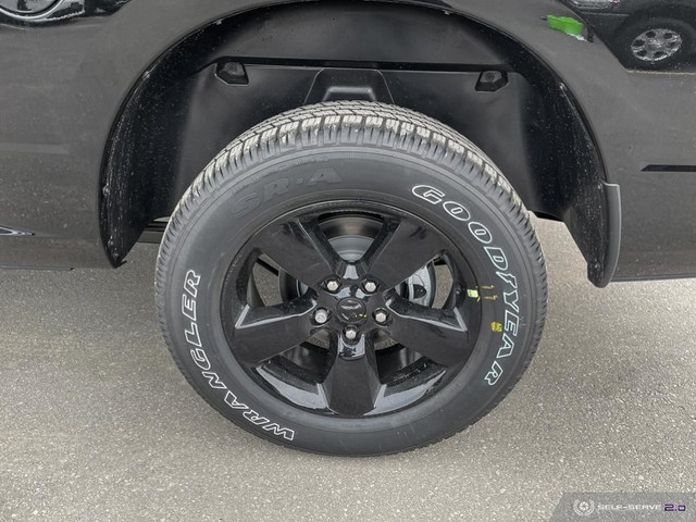 RAM 1500 Colour