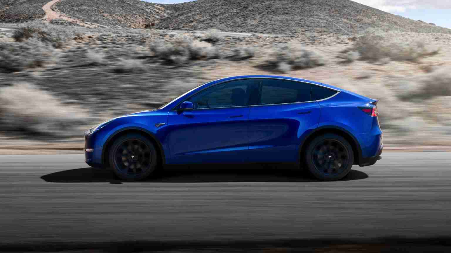 Tesla Model Y Performance Sales